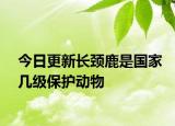 今日更新長頸鹿是國家?guī)准?jí)保護(hù)動(dòng)物