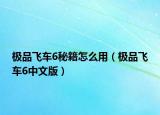 極品飛車6秘籍怎么用（極品飛車6中文版）