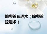輸卵管疏通術（輸卵管疏通術）