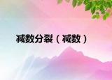 減數(shù)分裂（減數(shù)）