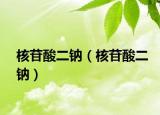 核苷酸二鈉（核苷酸二鈉）
