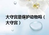 大守宮是保護(hù)動(dòng)物嗎（大守宮）