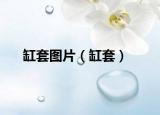 缸套圖片（缸套）