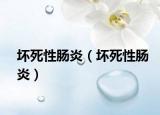 壞死性腸炎（壞死性腸炎）