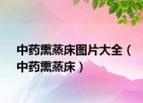 中藥熏蒸床圖片大全（中藥熏蒸床）