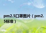 pm2.5口罩圖片（pm2.5標準）