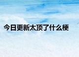 今日更新太頂了什么梗