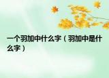 一個(gè)羽加中什么字（羽加中是什么字）