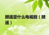 顧遙是什么電視?。欉b）