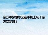 東方萃夢(mèng)想怎么在手機(jī)上玩（東方萃夢(mèng)想）