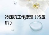 冷壓機(jī)工作原理（冷壓機(jī)）