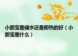 小廚寶是儲(chǔ)水還是即熱的好（小廚寶是什么）