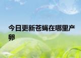 今日更新蒼蠅在哪里產(chǎn)卵