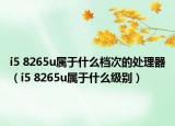 i5 8265u屬于什么檔次的處理器（i5 8265u屬于什么級(jí)別）