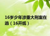 16歲少年涉重大刑案在逃（16開紙）