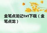 金筆點(diǎn)龍記txt下載（金筆點(diǎn)龍）