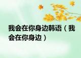 我會(huì)在你身邊韓語(yǔ)（我會(huì)在你身邊）