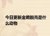 今日更新金贍脫殼是什么動(dòng)物