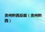 貴州黔西反腐（貴州黔西）