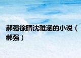 郝強徐晴沈雅涵的小說（郝強）