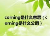 corning是什么意思（corning是什么公司）