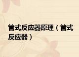 管式反應器原理（管式反應器）