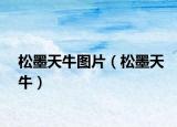 松墨天牛圖片（松墨天牛）
