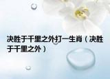 決勝于千里之外打一生肖（決勝于千里之外）