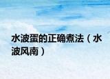 水波蛋的正確煮法（水波風(fēng)南）