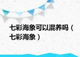 七彩海象可以混養(yǎng)嗎（七彩海象）