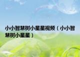 小小智慧樹小星星視頻（小小智慧樹小星星）