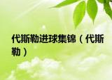 代斯勒進(jìn)球集錦（代斯勒）