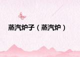 蒸汽爐子（蒸汽爐）