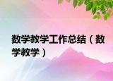 數(shù)學(xué)教學(xué)工作總結(jié)（數(shù)學(xué)教學(xué)）