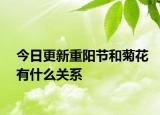 今日更新重陽節(jié)和菊花有什么關(guān)系