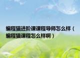 編程貓進(jìn)階課課程導(dǎo)師怎么樣（編程貓課程怎么樣啊）