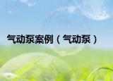 氣動(dòng)泵案例（氣動(dòng)泵）