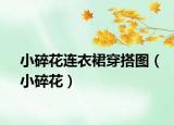 小碎花連衣裙穿搭圖（小碎花）