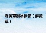 麻黃草制冰步驟（麻黃草）