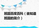 班固百度百科（誰(shuí)知道班固的簡(jiǎn)介）