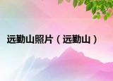 遠勤山照片（遠勤山）