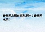 轉(zhuǎn)基因水稻有哪些品種（轉(zhuǎn)基因水稻）