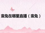 蠻兔在哪里直播（蠻兔）