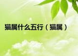 貓屬什么五行（貓屬）