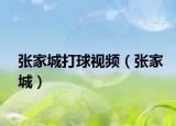 張家城打球視頻（張家城）
