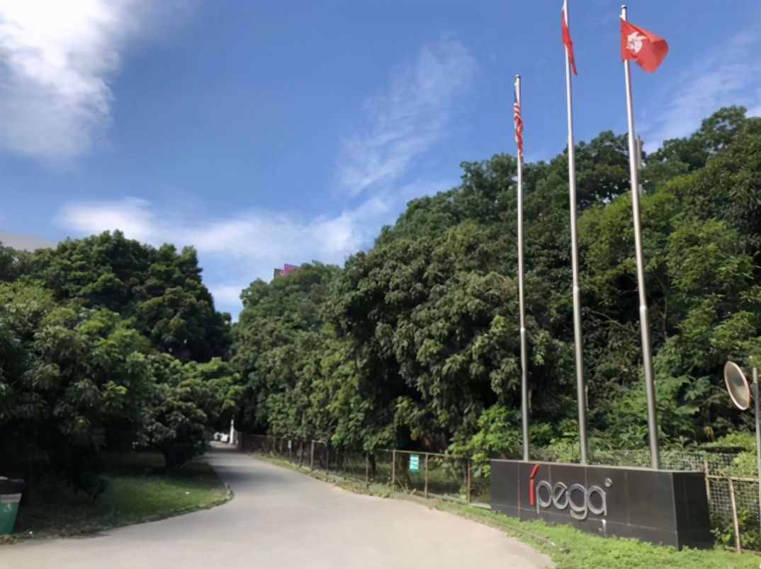 中國(guó)8大游戲外設(shè)制造商，見證中國(guó)游戲外設(shè)品牌新力量