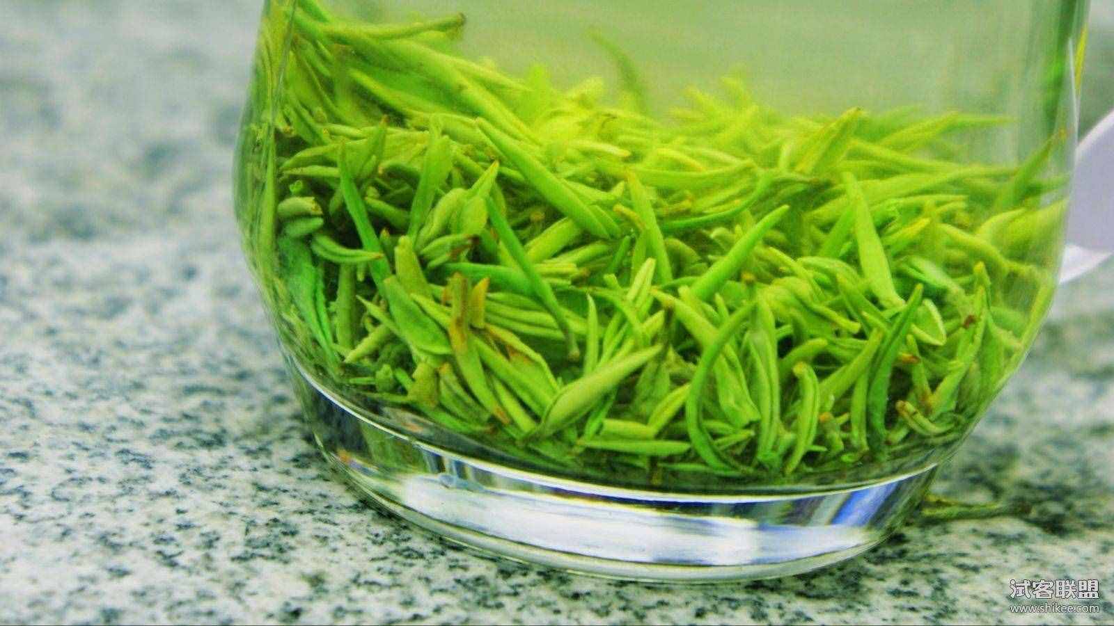 信陽(yáng)毛尖怎么泡才好喝？