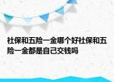 社保和五險(xiǎn)一金哪個(gè)好社保和五險(xiǎn)一金都是自己交錢(qián)嗎