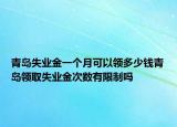 青島失業(yè)金一個月可以領(lǐng)多少錢青島領(lǐng)取失業(yè)金次數(shù)有限制嗎