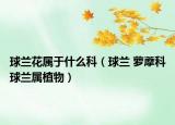 球蘭花屬于什么科（球蘭 蘿藦科球蘭屬植物）